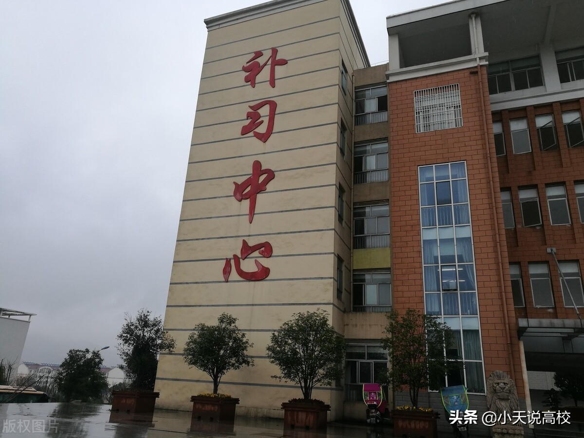 2021高考：表弟二本过20分，问我怎么报志愿，我却建议他去复读