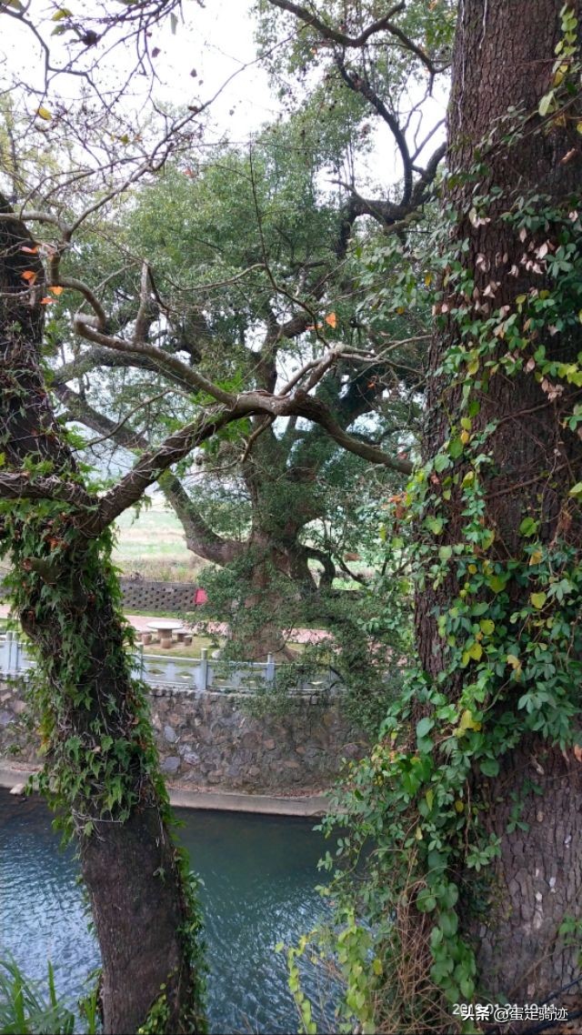 象溪乡菜溪岩