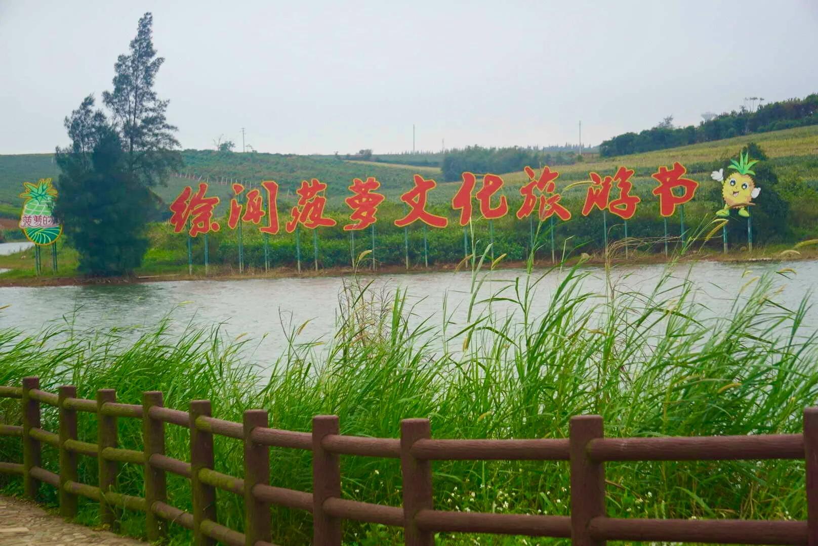 菠萝的海，香飘四海，来这里看广东最美的田园风光