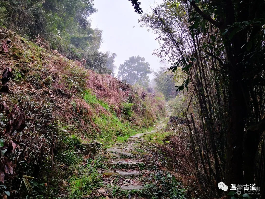 平阳麻步吧（平阳麻步沿口七星山古道环线穿越风景如画）