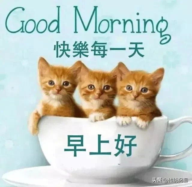 采摘一缕阳光，照亮你的每一天；采摘一缕芳香，让香气伴你入眠