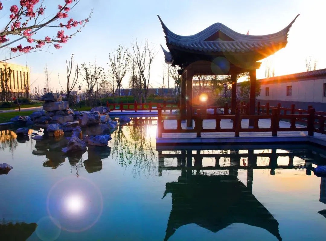 惊人速度崛起！这所九年制学校数学品牌太强了