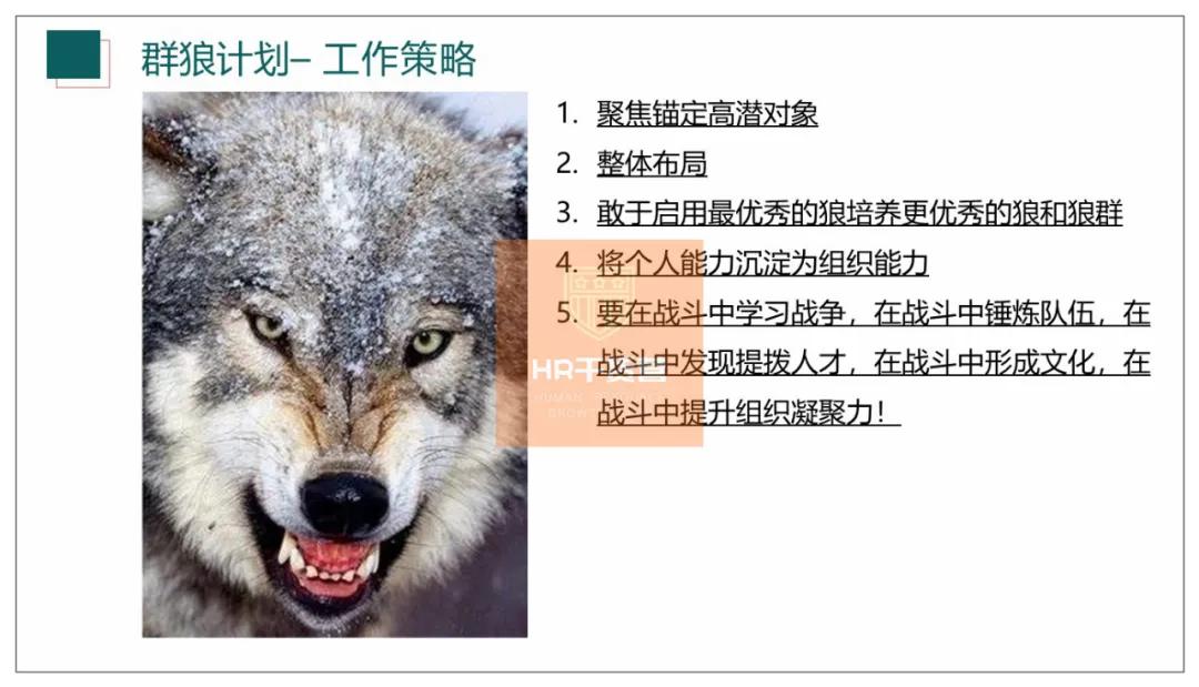 C叔教你如何写2021年度培训规划？50页全解析（干货！）