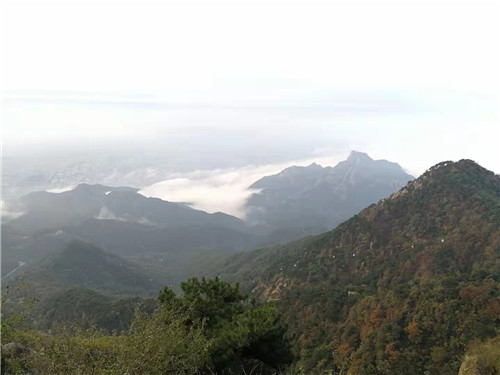 雨后泰山 云雾起 秋意浓