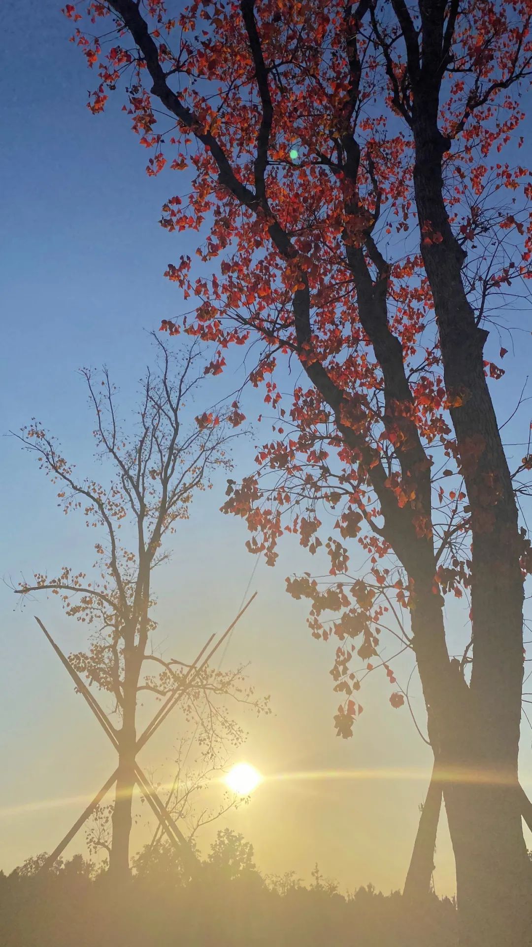 怀德学院“心怀正气 尚德倡廉”文化作品展