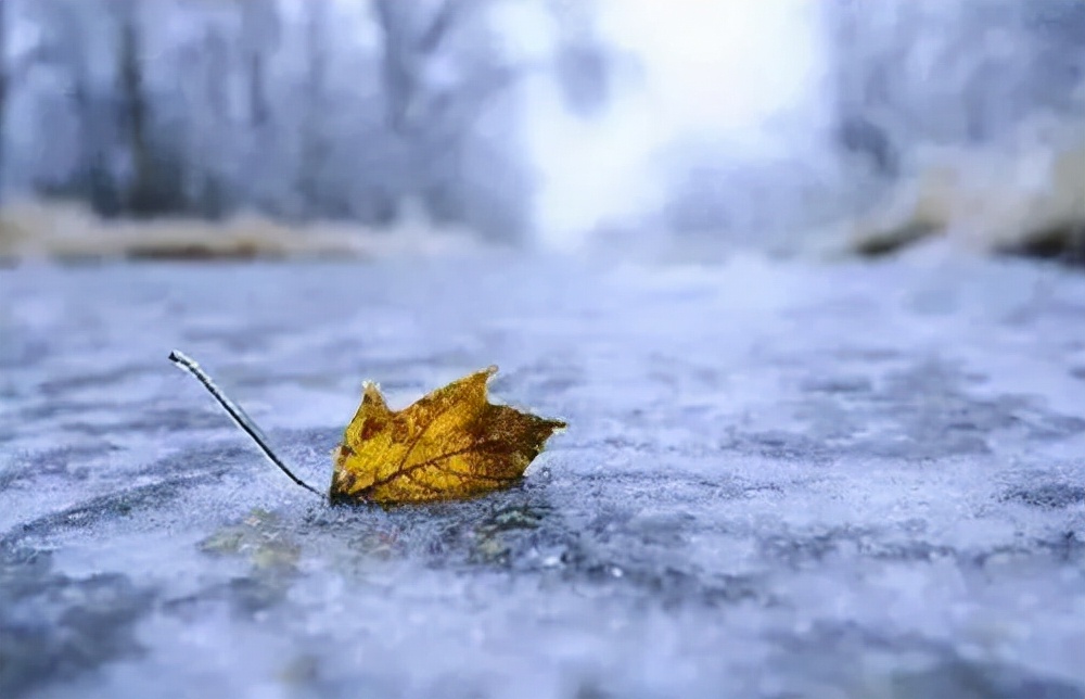 今日立冬：抱团取暖，互济互予，才能让这个冬天不会太冷