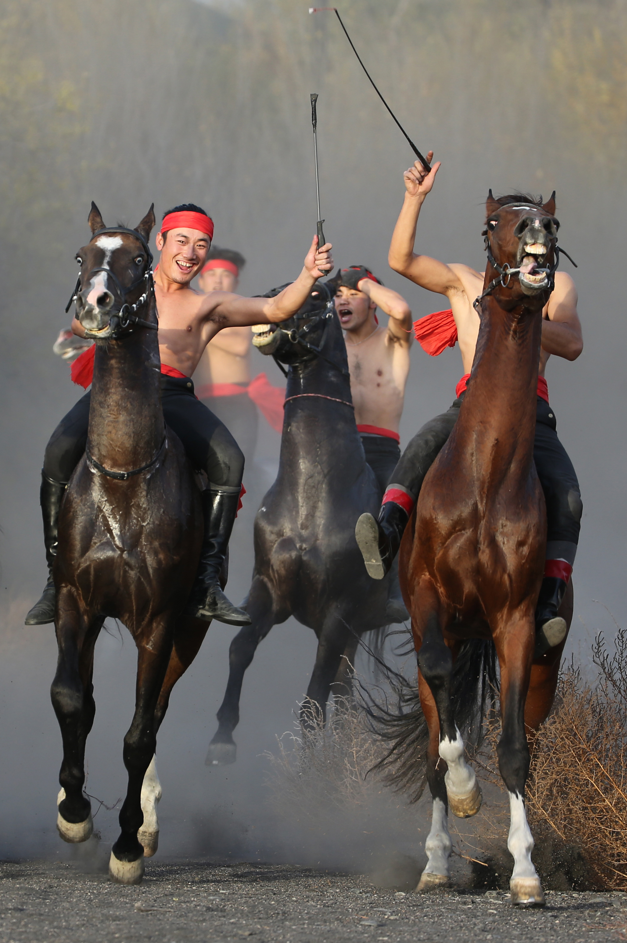 什么是汗血寶馬,
