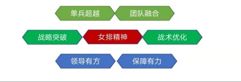 女排世界杯为什么卫冕(世界杯十连胜提前卫冕，独家揭秘中国女排突然强大背后的七大要因)