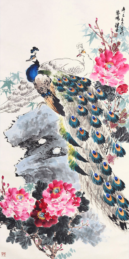 高贵,冷艳的白孔雀