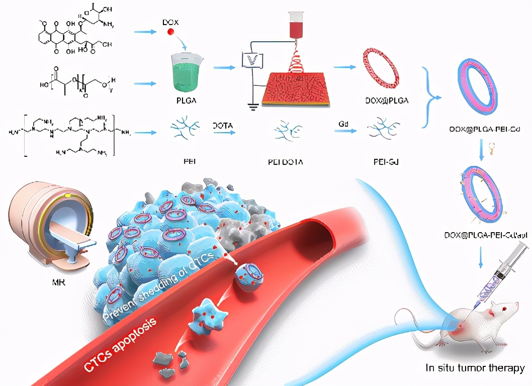 抗癌、碳中和、太赫兹，最近，东华大学9项科研成果引起国际关注！