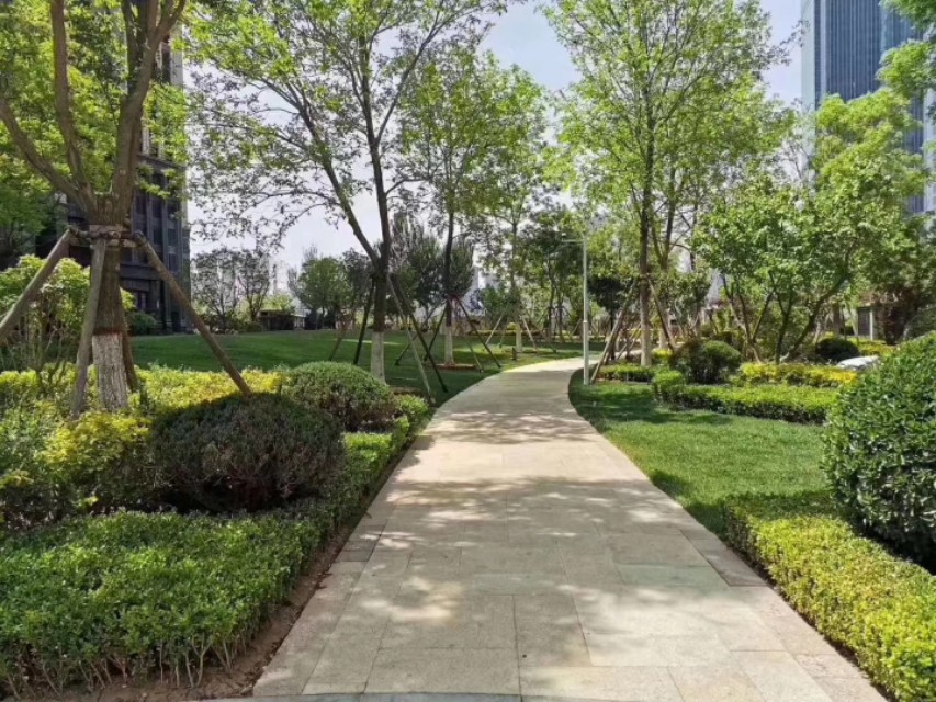 老子《道德经 · 第四章》原文、译文及注释