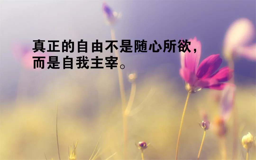 抖音励志精选正能量语录,唯美走心,值得每天看一看