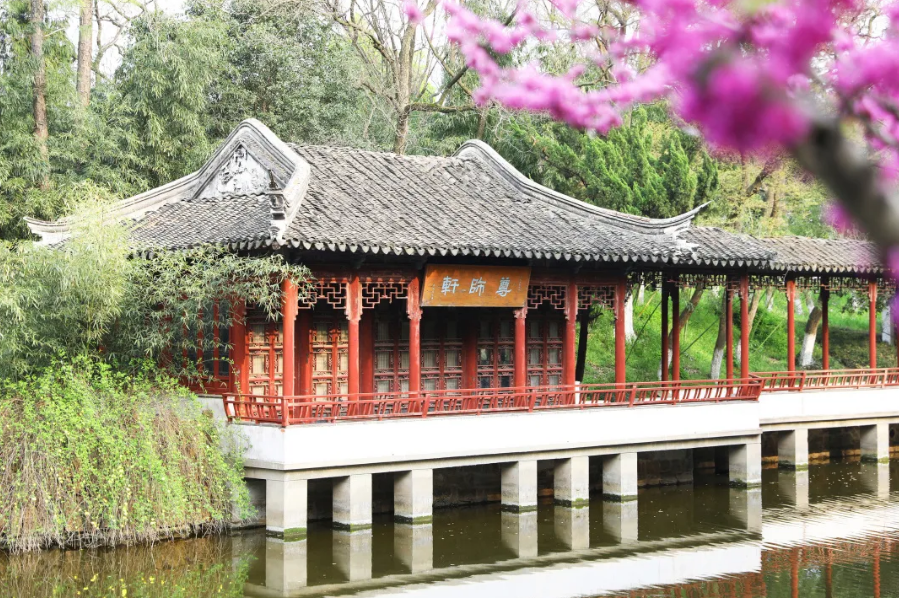 神仙颜值！苏州大学“最美校花”高清大图曝光！总有你喜欢的那一款