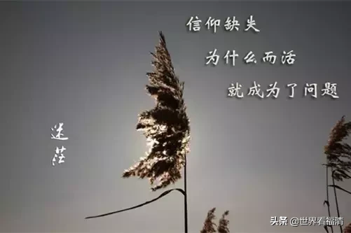 信仰如光，照亮灵魂深处的每一个角落。