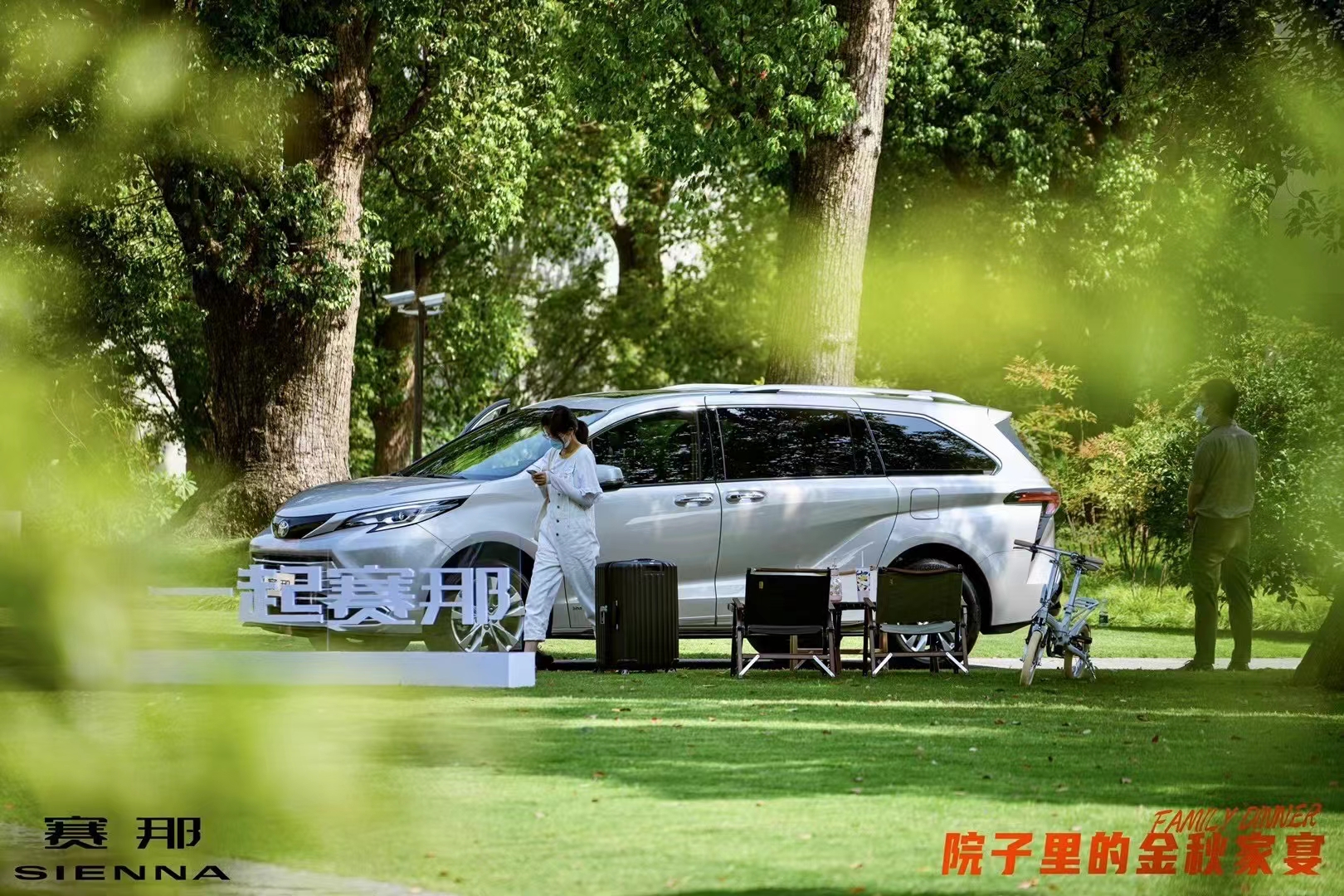 落叶之秋 微风徐来 赛那与美好不期而至