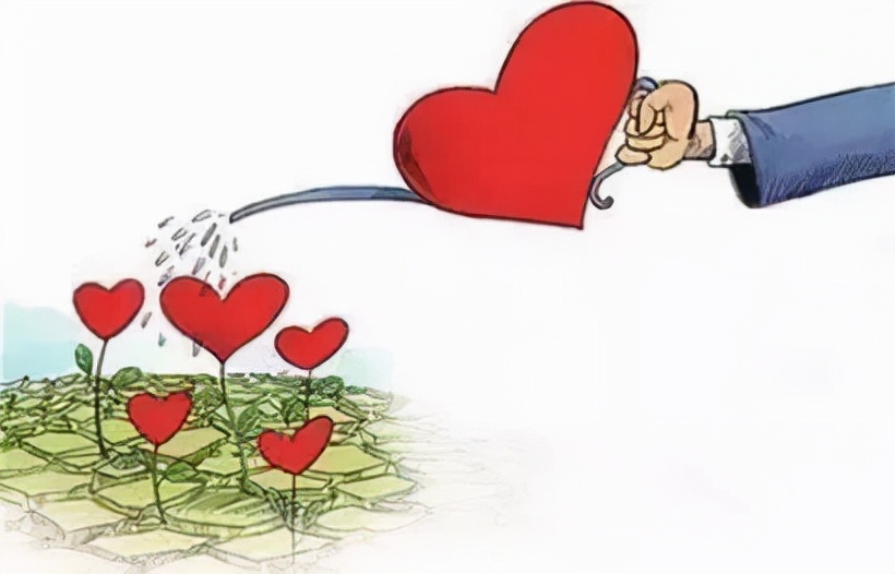 前车之鉴教你如何写出捐款更多的文章