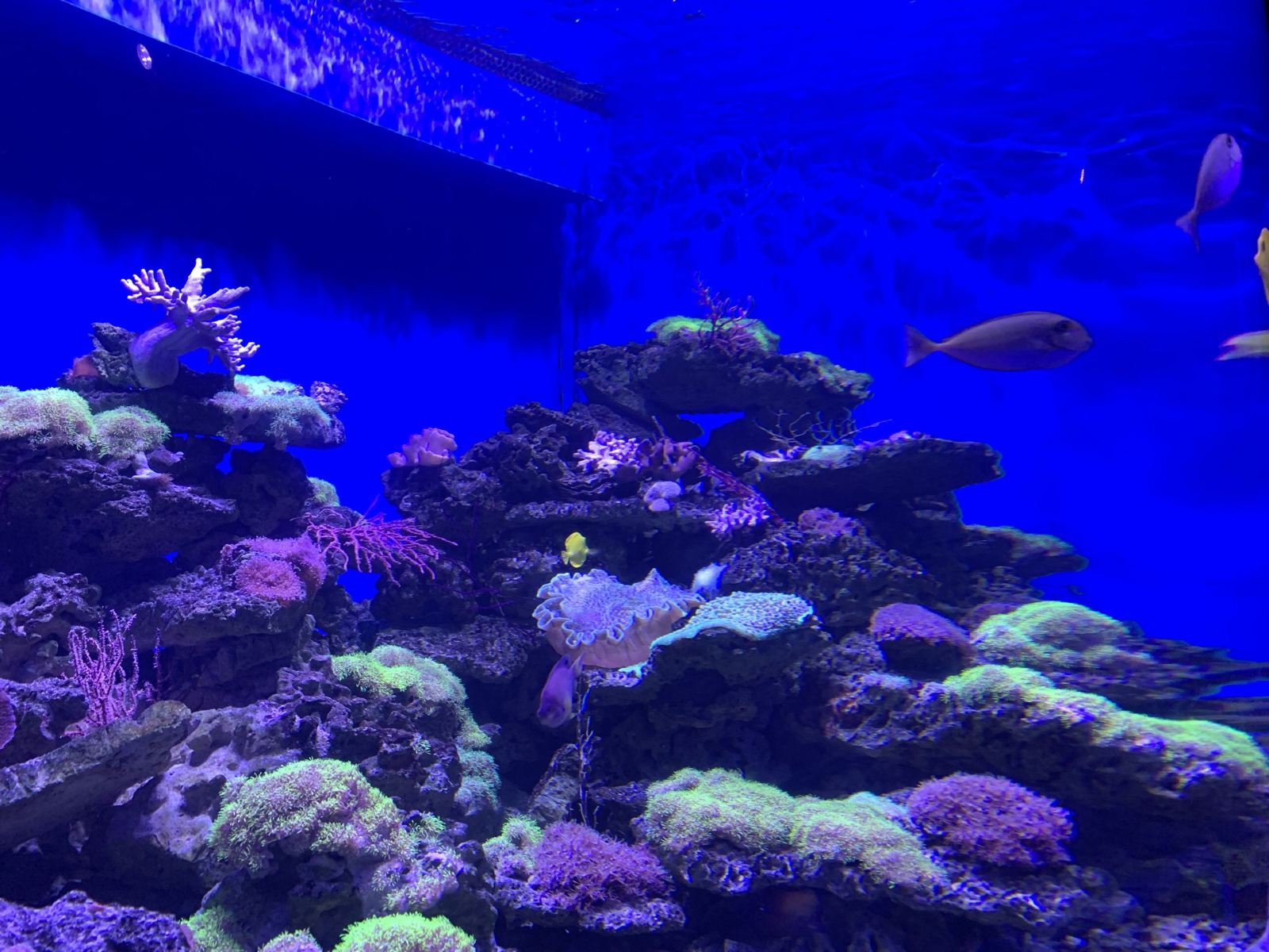 辽宁大连最好玩的16处景点，滨城特色，神奇迷离又美丽浪漫