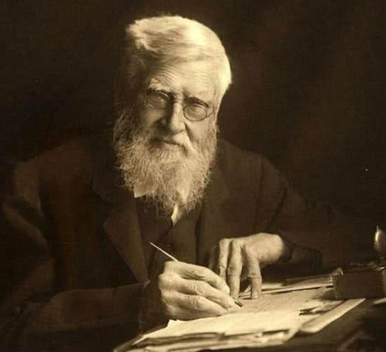 进化论是谁提出的达尔文和华莱士是谁先提出进化论的