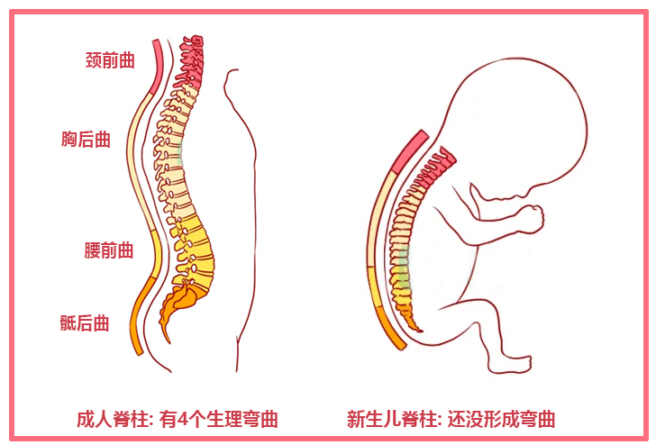 新生儿要捆腿吗？这些“传统讲究”都是误区，真别盲目相信会坑娃