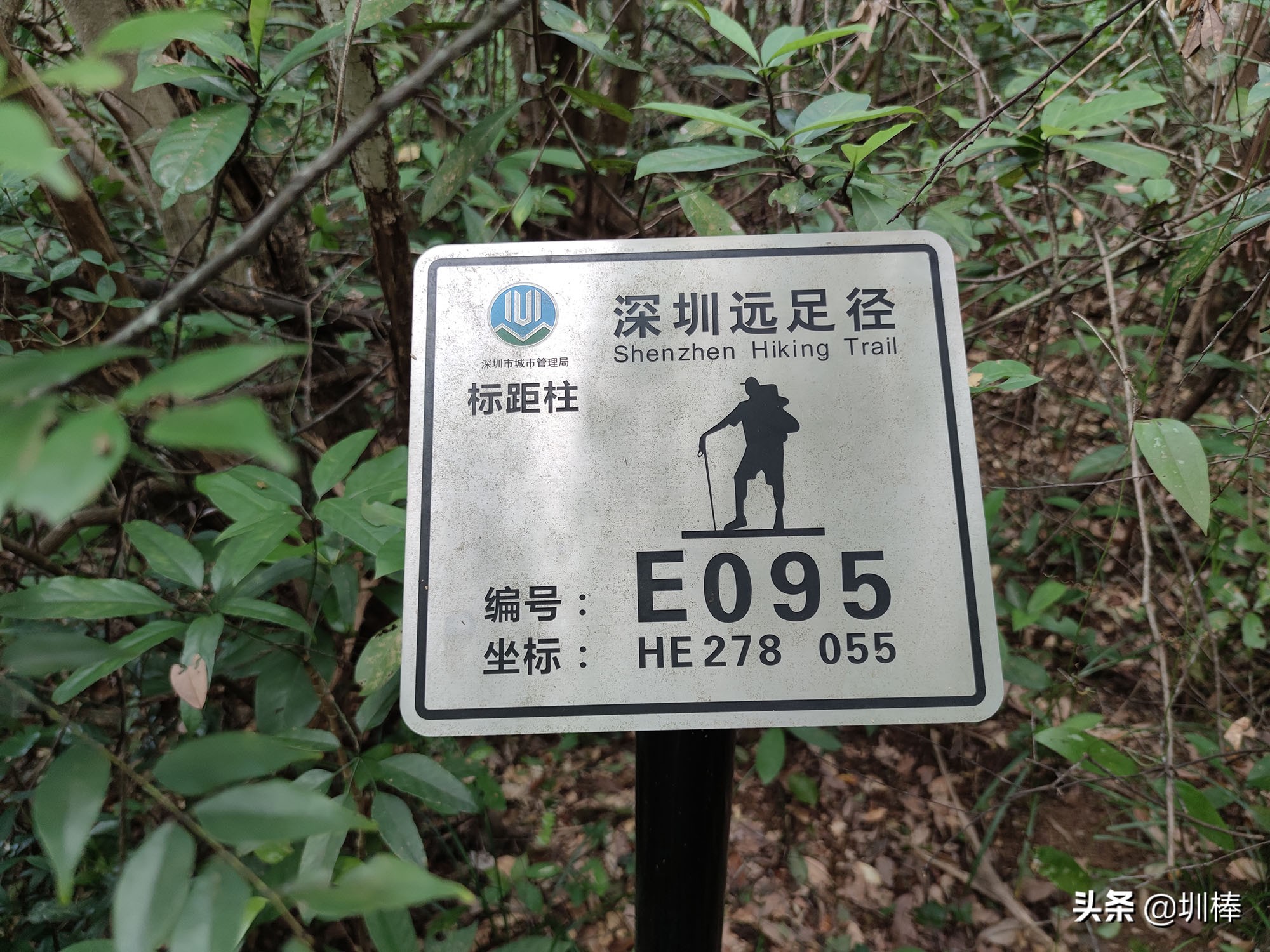 徒步深圳远足径马峦山，落日这么美，你不来看看吗？