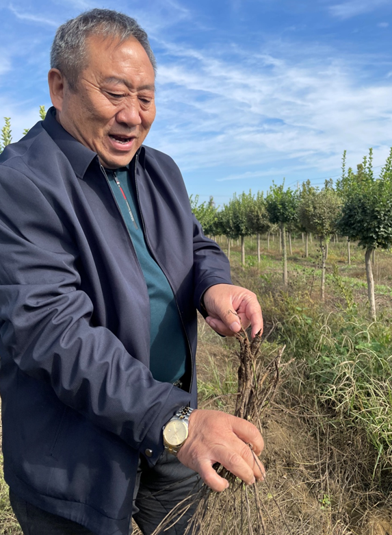 「乡村振兴」王小屯村旧貌换新颜