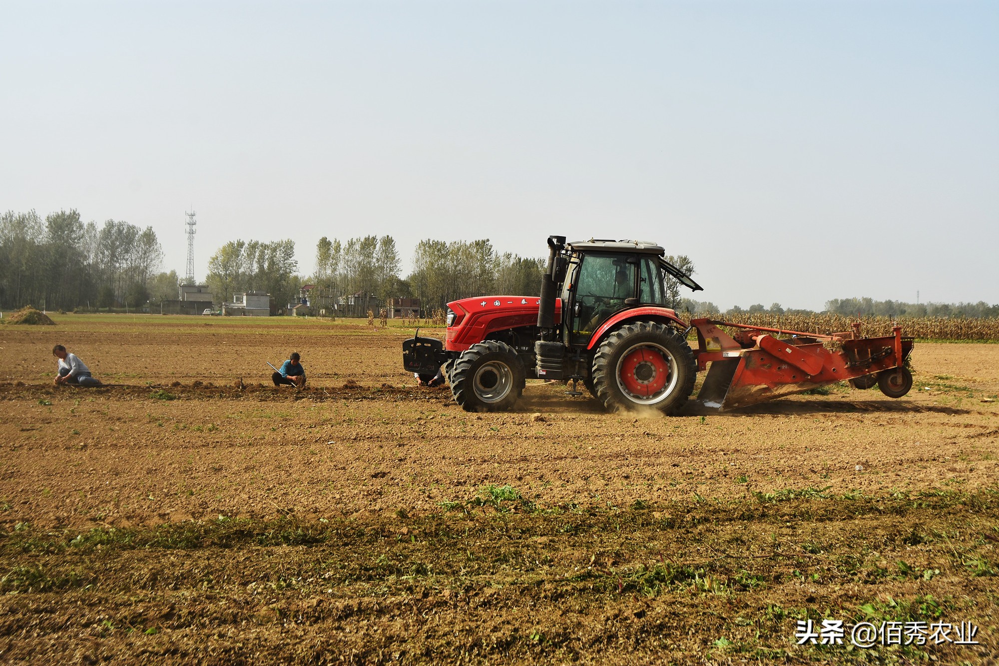 农村青年返乡创业，投入百万元进入农业，如今进退两难，咋回事？