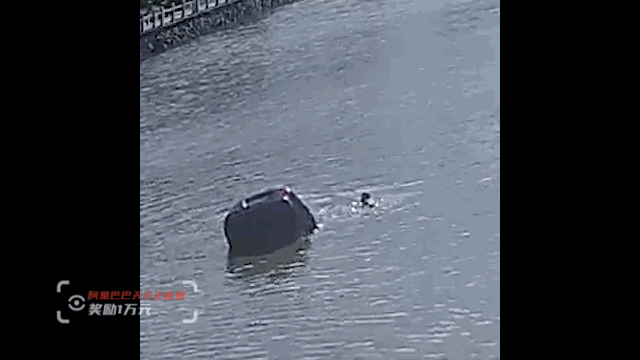 女子驾车冲入3米深河，生死两分钟，“最帅F4”出手了