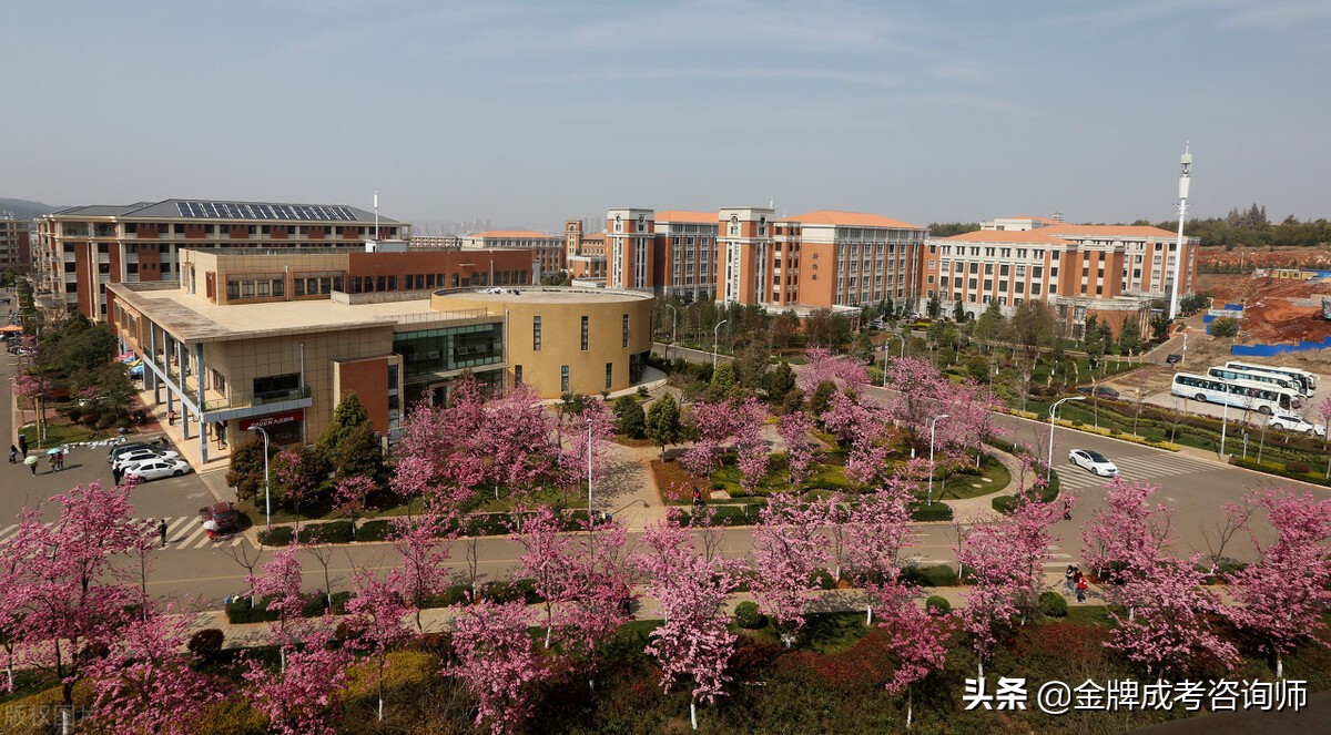 文科好的学生怎么选大学？看专业定大学的话，务必考虑这4所