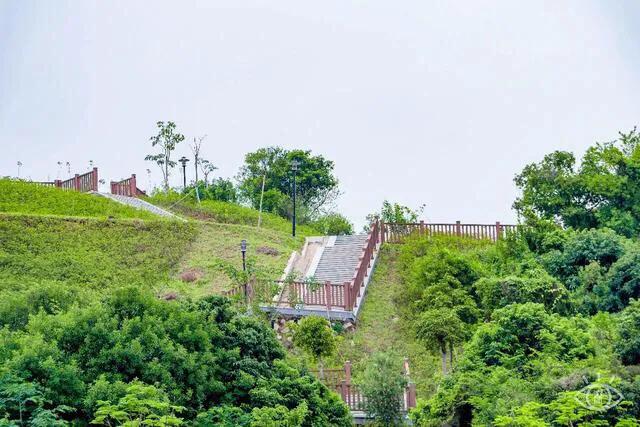 深圳十大免费特色的湖泊公园