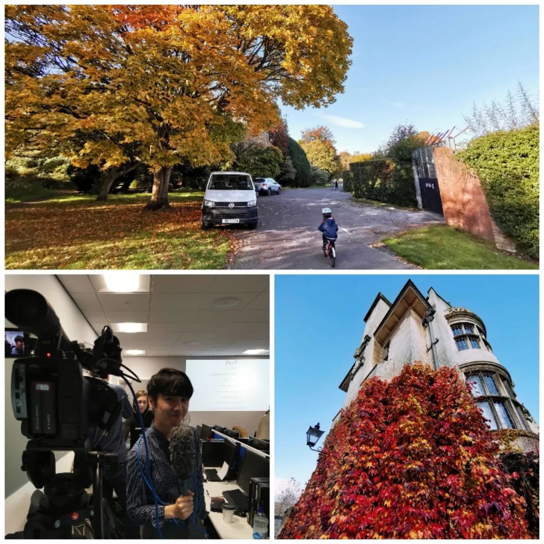“十一月围城”丨英国留学观察日记