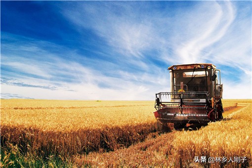 現(xiàn)在收割機(jī)價(jià)格多少錢一臺(tái)？哪些品牌比較好？種植戶認(rèn)準(zhǔn)這八品牌