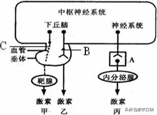 又出事了！这种2克就能致娃死亡的玩具，简直防不胜防