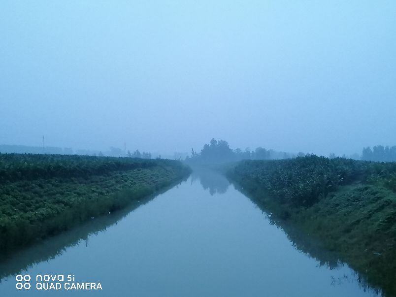 雨后晨光（五律）