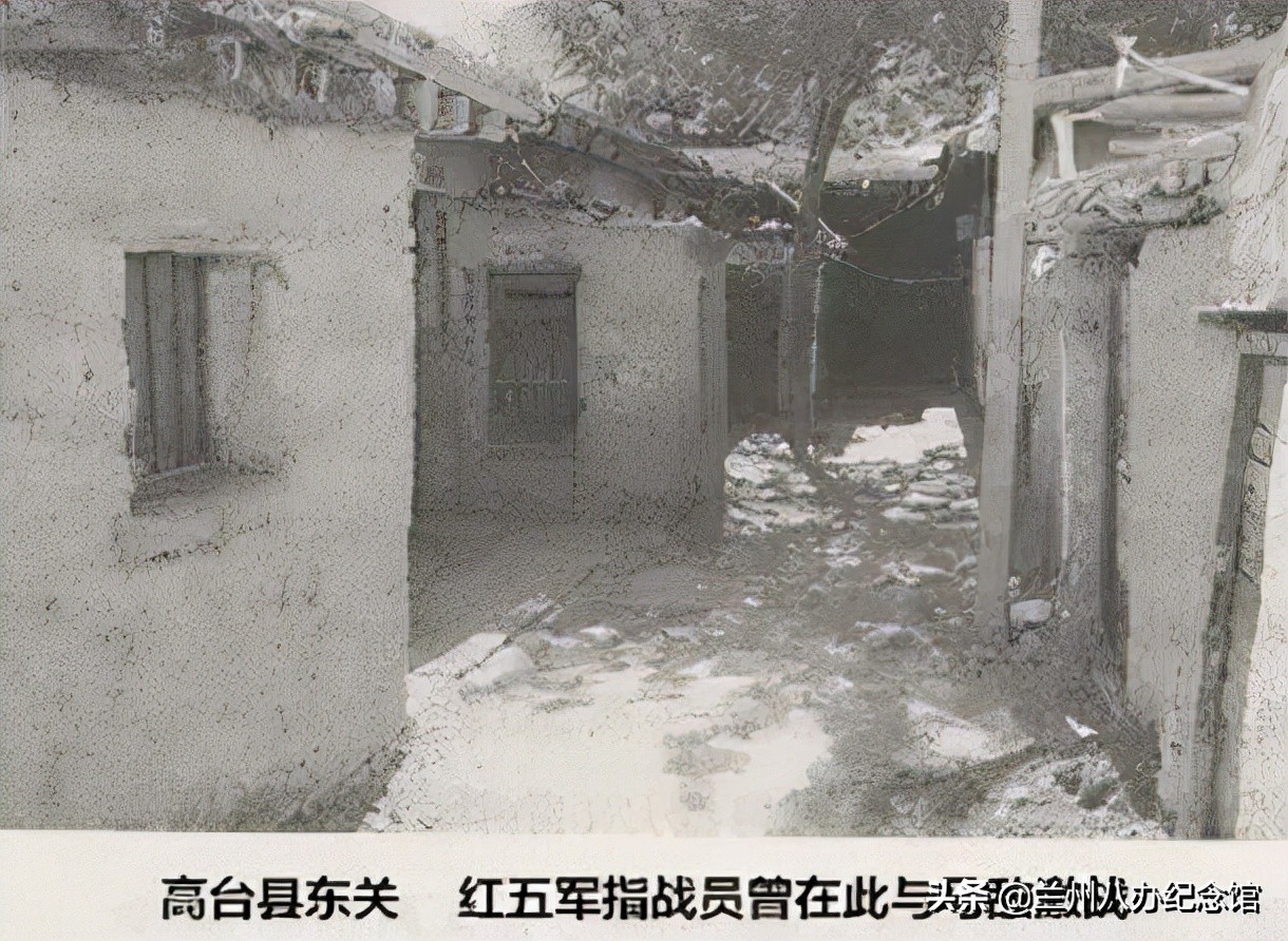 在线观展 