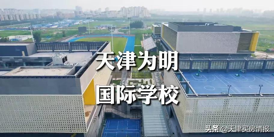西青教育抖起来了？14个最新落地品牌学校大盘点