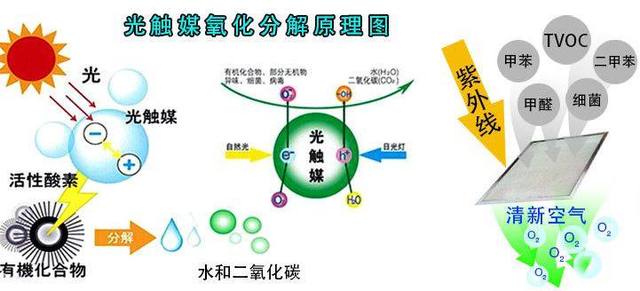 新房装修，如何去除甲醛