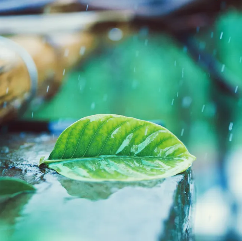 「诗词鉴赏」12首有关小雨的诗词，让小雨驱散夏日的炎热