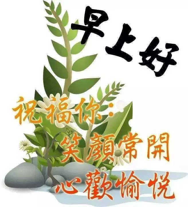 早晨安好：晨起的雨露甜甜，送去我对你的感言，早晨好