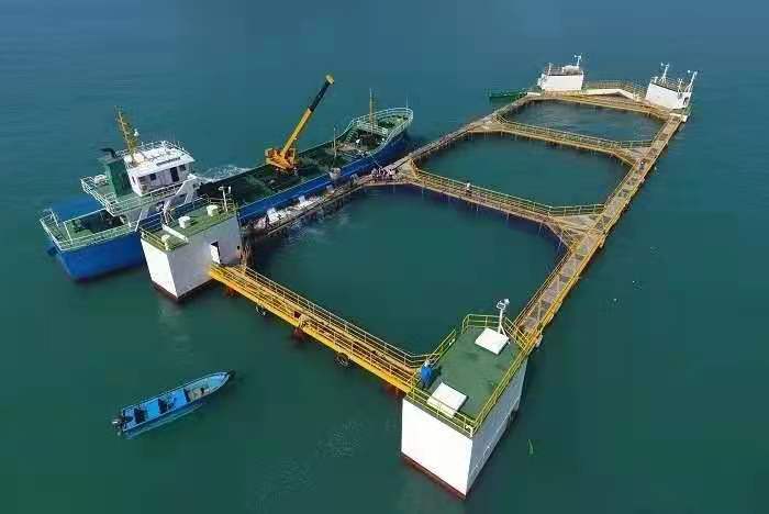 海洋牧场建设——海洋资源利用的一场重大产业革命