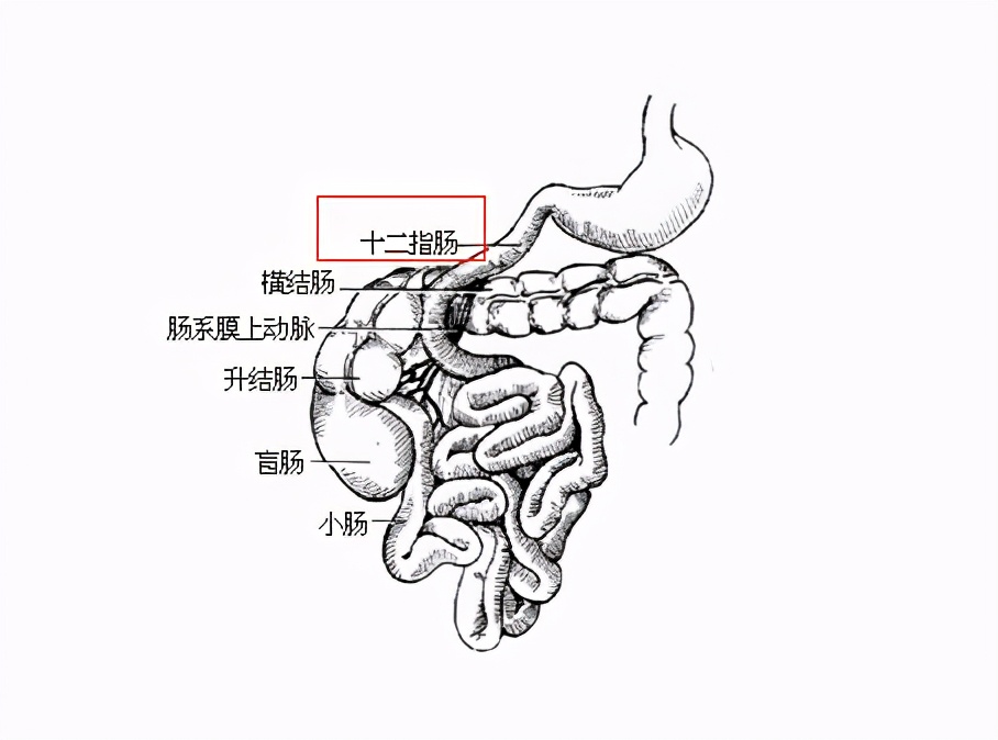 把胃全切了之后，我还能吃饭吗？