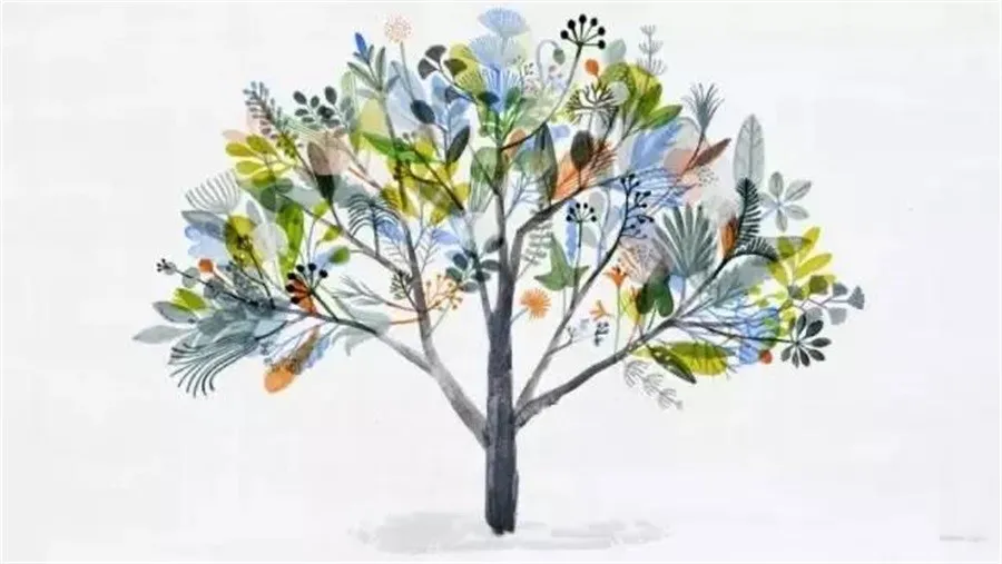 小柏讲校：荟同学校