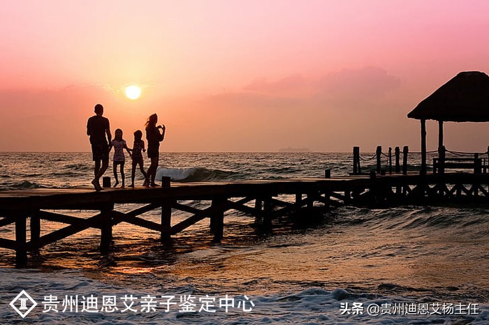 亲子鉴定流程,亲子鉴定流程详细步骤