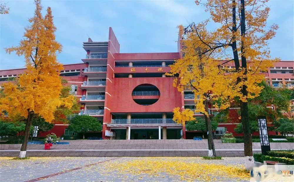 读高中选绵阳？还是选成都？成绵两地高中对比，看看如何选择