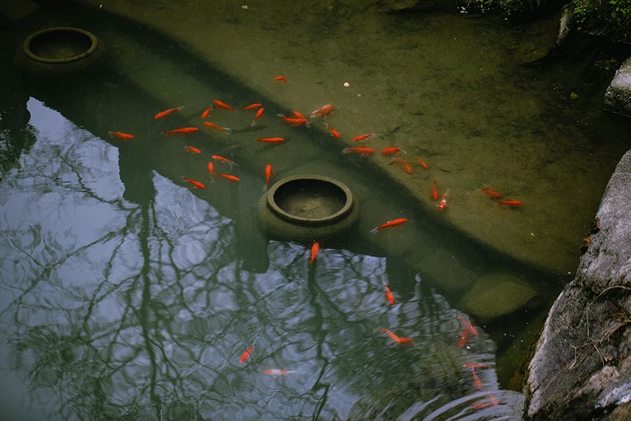 中国人的名字，藏着时代最特别的印记