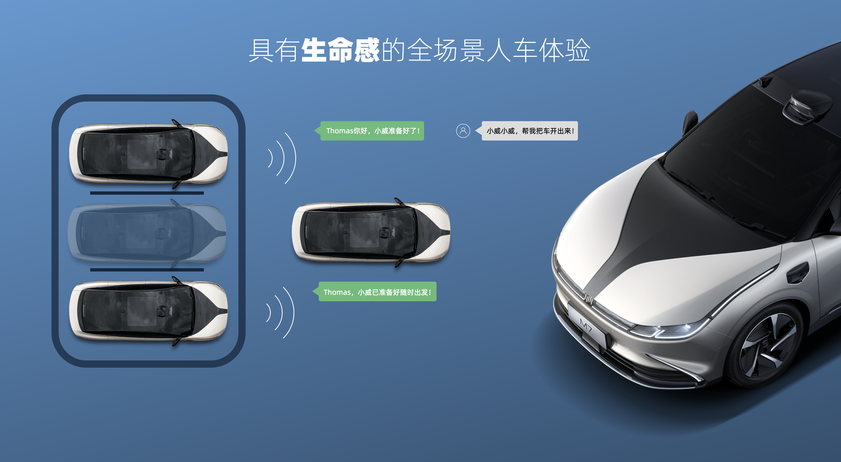 大河报汽车网