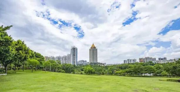 深圳十大免费特色的湖泊公园