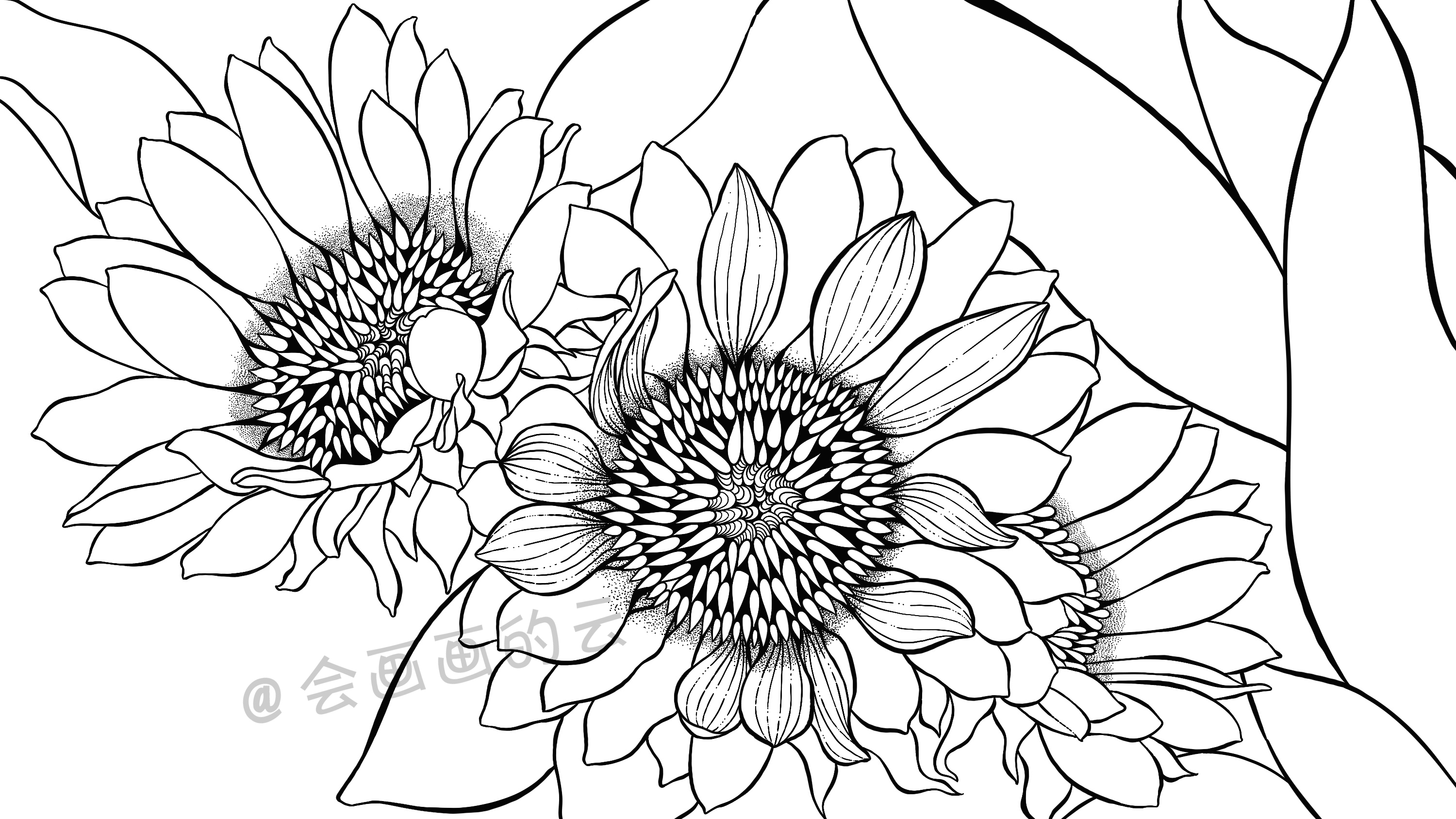 线条的魅力，线描插画过程图详细步骤讲解，教你如何零基础画画