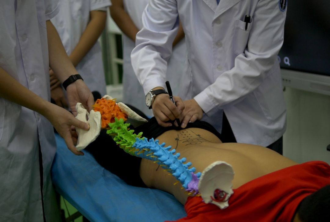 2020年3+证书最低录取167分，广东江门中医药职业学院介绍