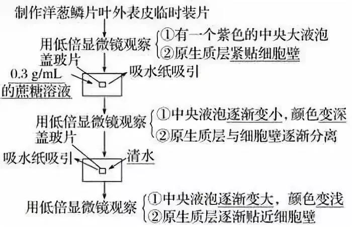 涵盖高中所有生物实验知识点
