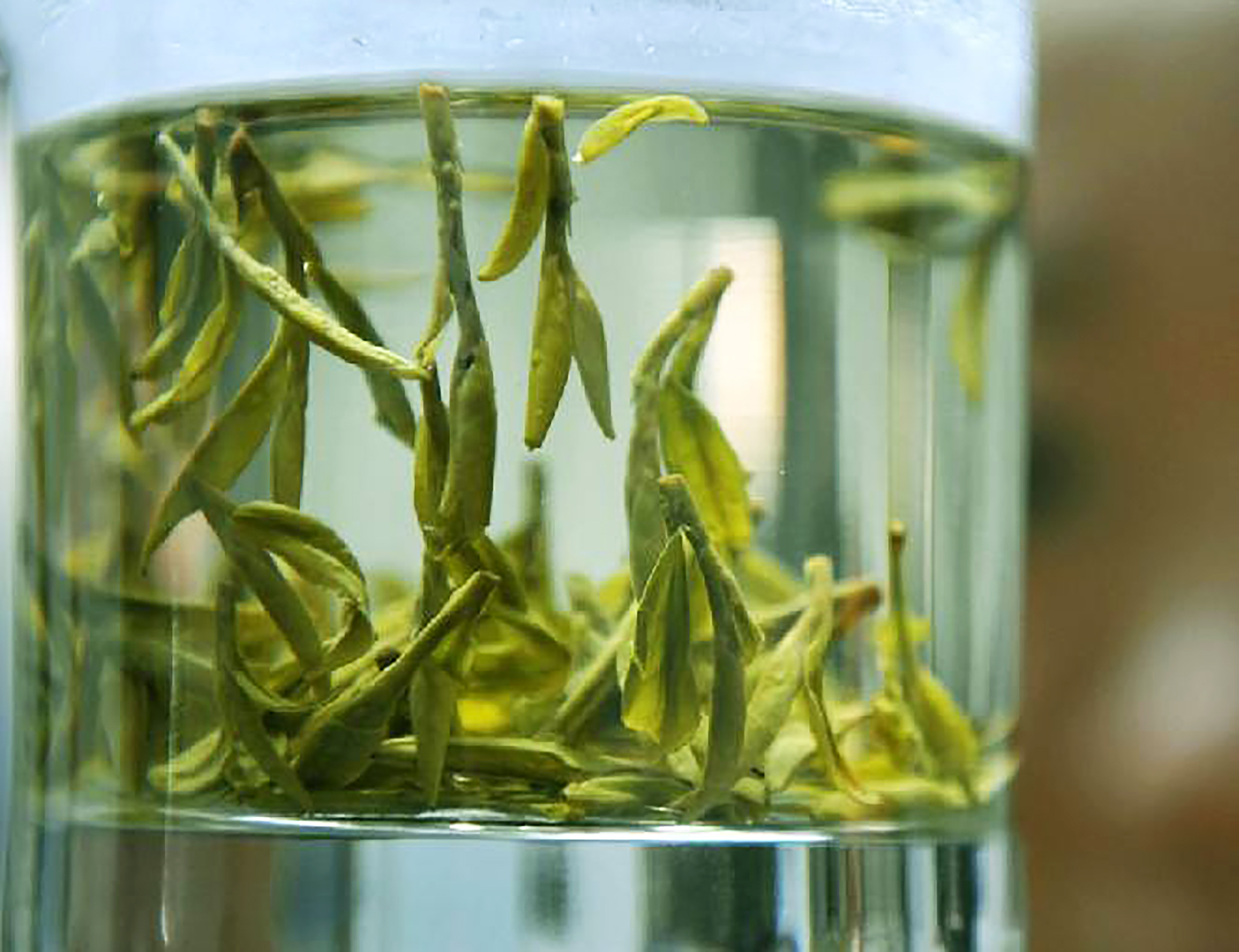 江西庐山产什么茶(庐山产什么茶?)-我的快乐小窝